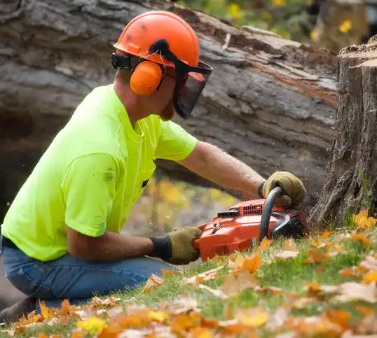 tree services Galien